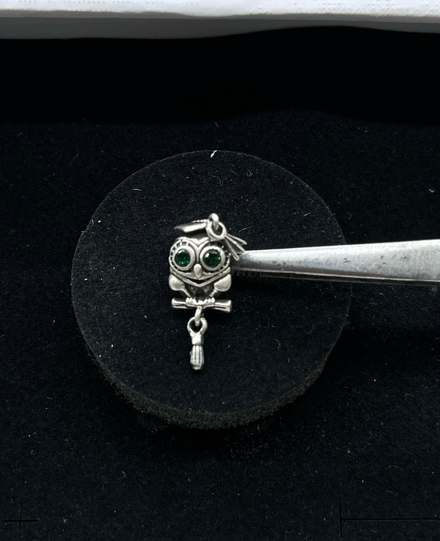 Wise Owl Graduation Charm🎓🦉