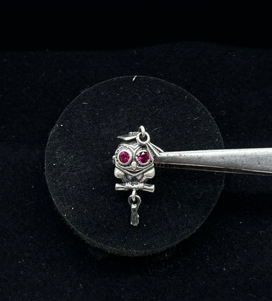 Wise Owl Graduation Charm🎓🦉