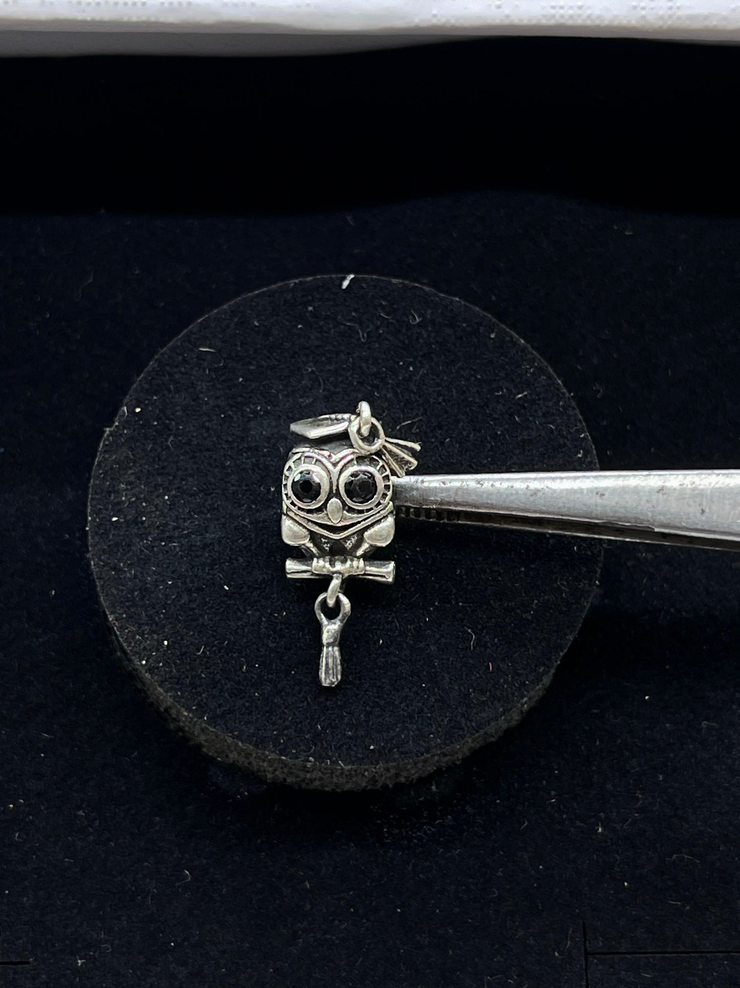 Wise Owl Graduation Charm🎓🦉