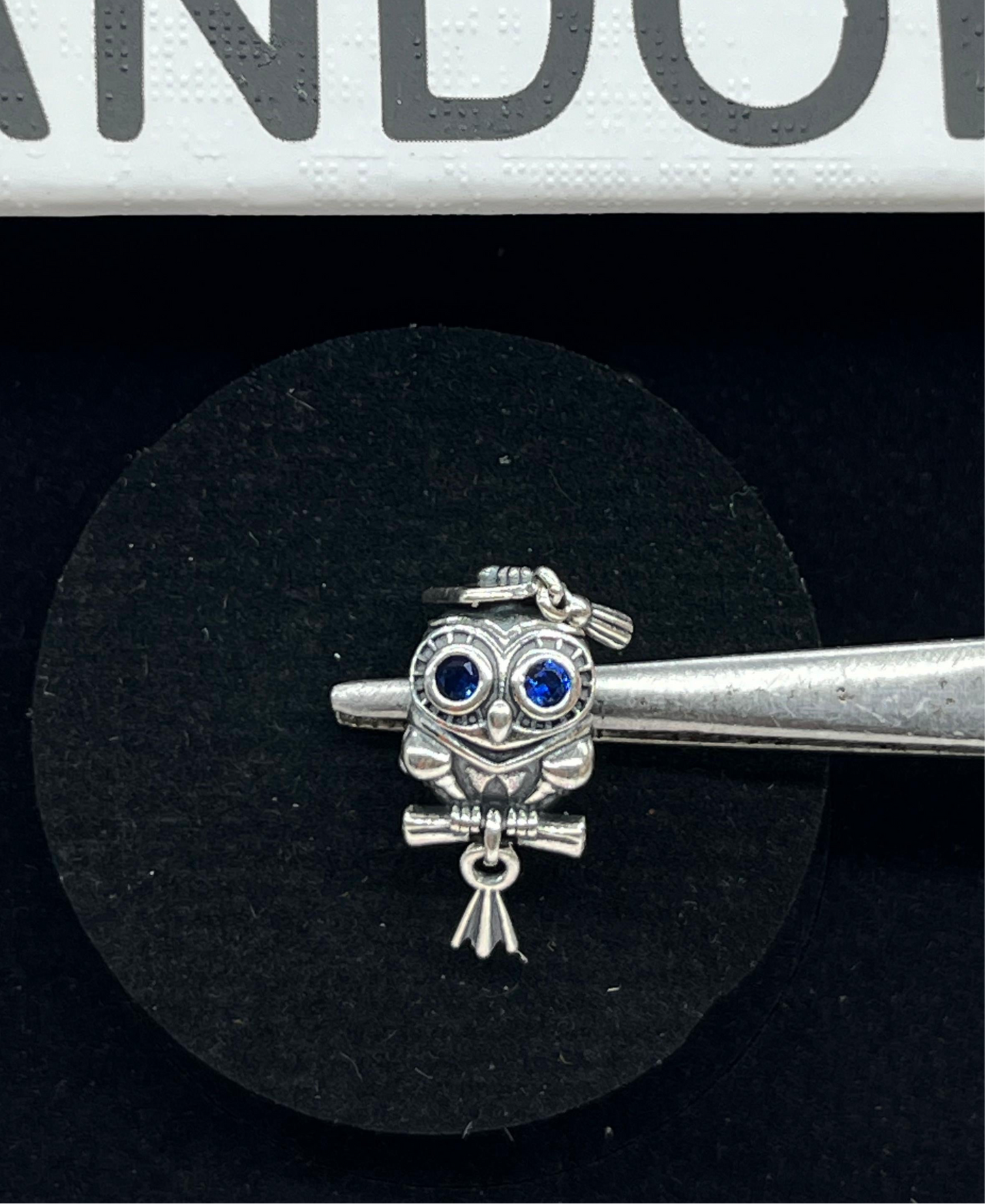 Wise Owl Graduation Charm🎓🦉