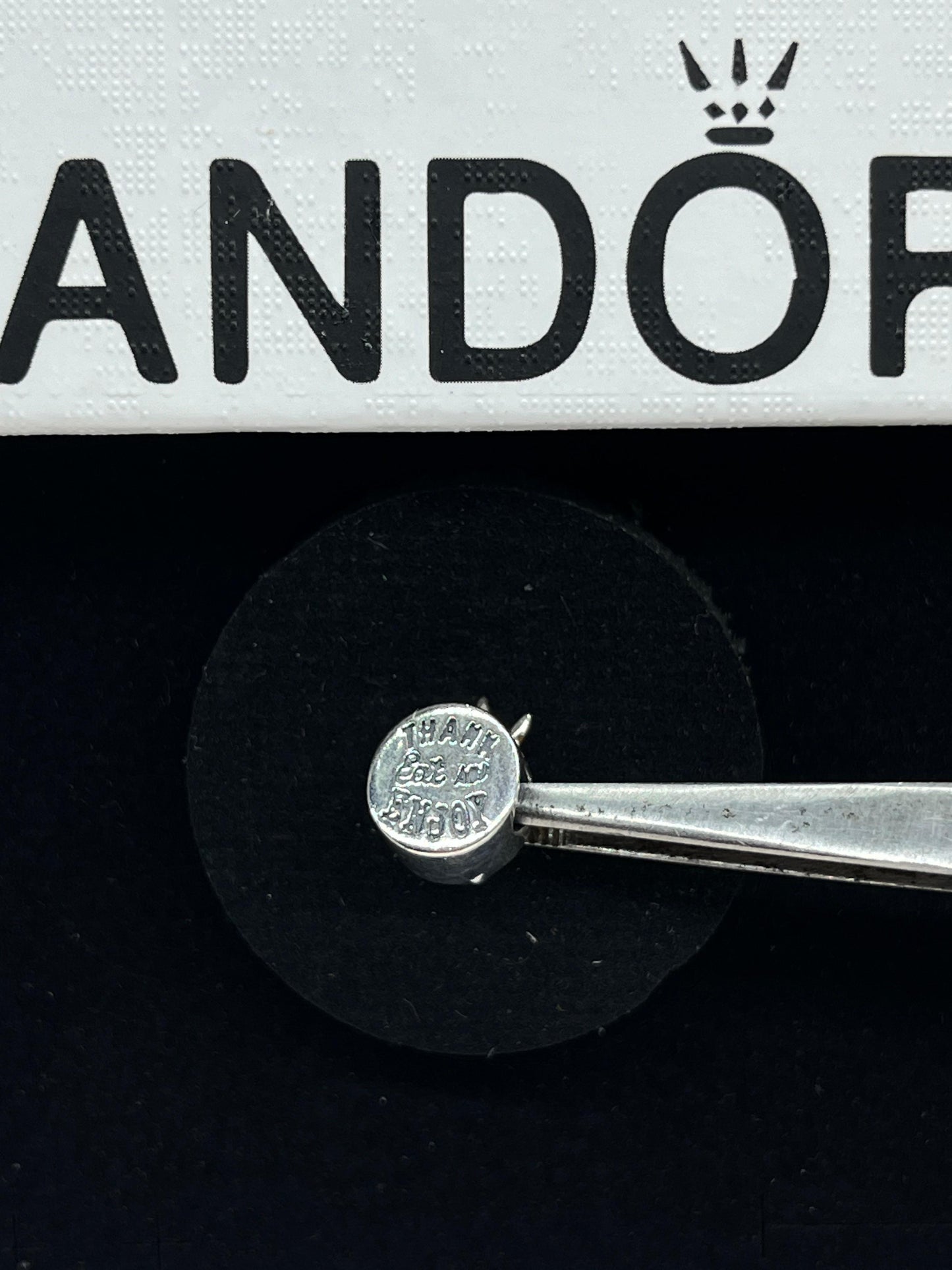 Angry birds charm✨